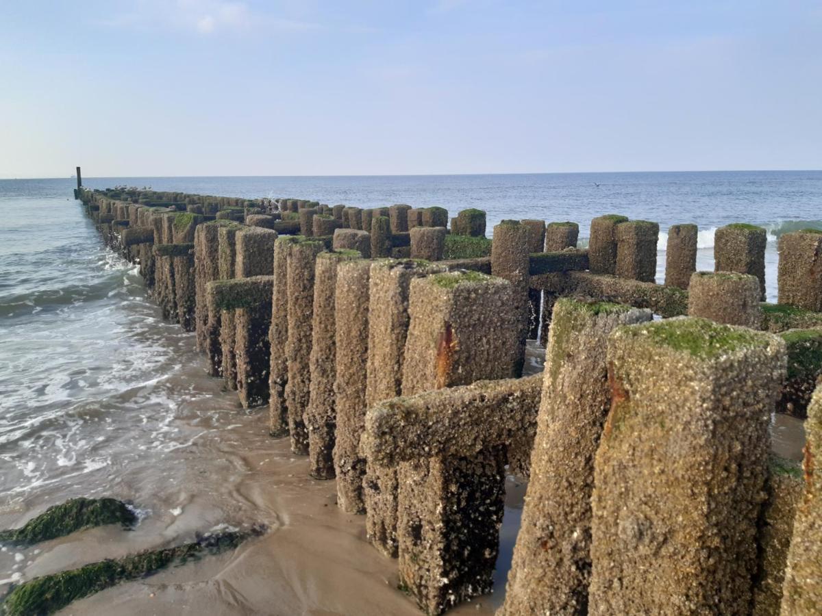 Merel Serooskerke  Bagian luar foto